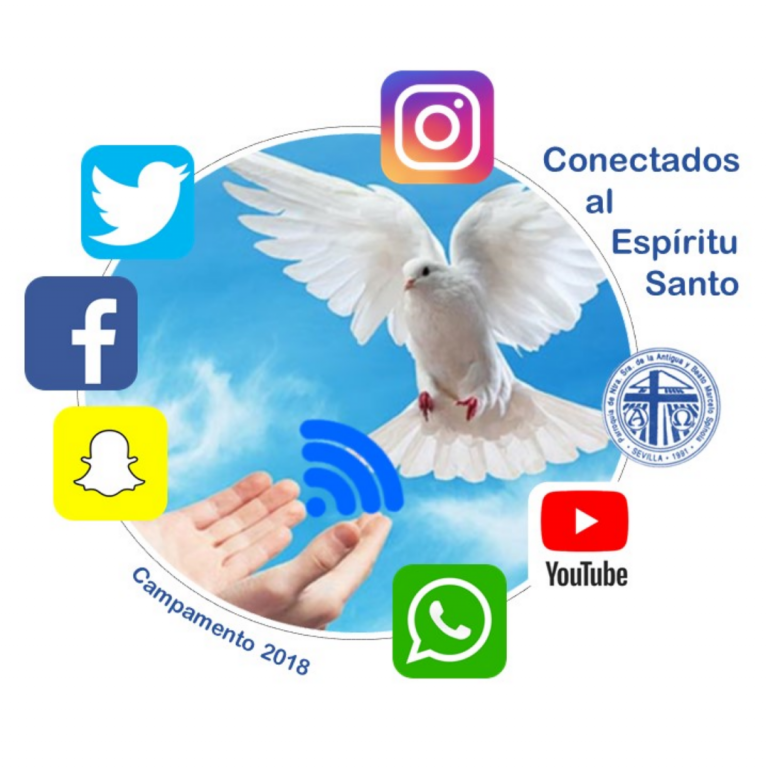 Lee más sobre el artículo Campamento 2018