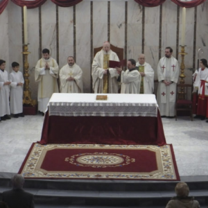 Lee más sobre el artículo Cardenal Amigo