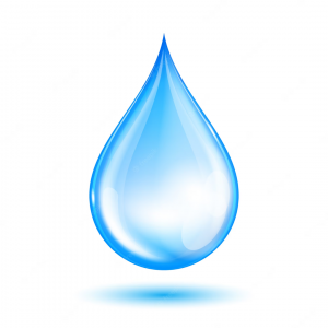 Lee más sobre el artículo Día del Agua