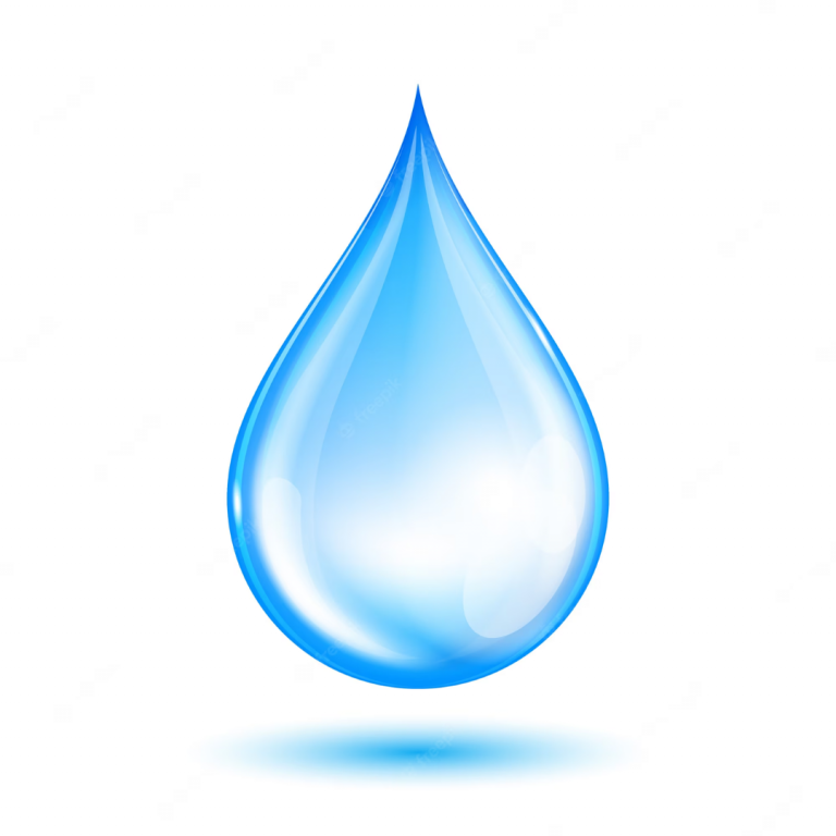 Lee más sobre el artículo Día del Agua